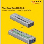 DeLock USB 3.2 Hub 9 Θυρών με σύνδεση USB-A & Θύρα Φόρτισης και Εξωτερική Παροχή Ρεύματος Γκρι
