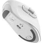 Alogic Apex Ασύρματο Bluetooth Ποντίκι Λευκό