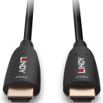 Lindy HDMI 2.1 Cable HDMI male - HDMI male 30m Μαύρο