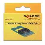 DeLock Adapter M.2 Key B male to SATA 7pin 2242