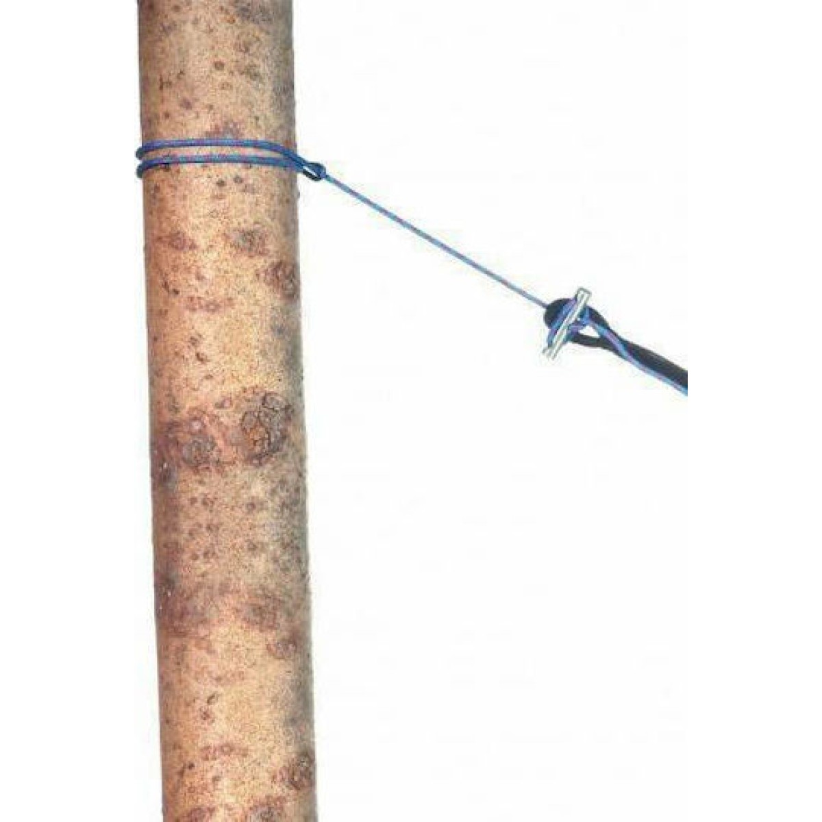 Amazonas Ιμάντας Στήριξης Αιώρας 2τμχ