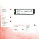 Patriot P300 SSD 256GB M.2 NVMe PCI Express 3.0