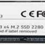 Patriot P300 SSD 1TB M.2 NVMe PCI Express 3.0