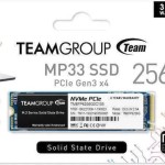 TeamGroup MP33 SSD 256GB M.2 NVMe PCI Express 3.0