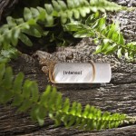 Intenso Green Line 64GB USB 3.2 Stick Καφέ