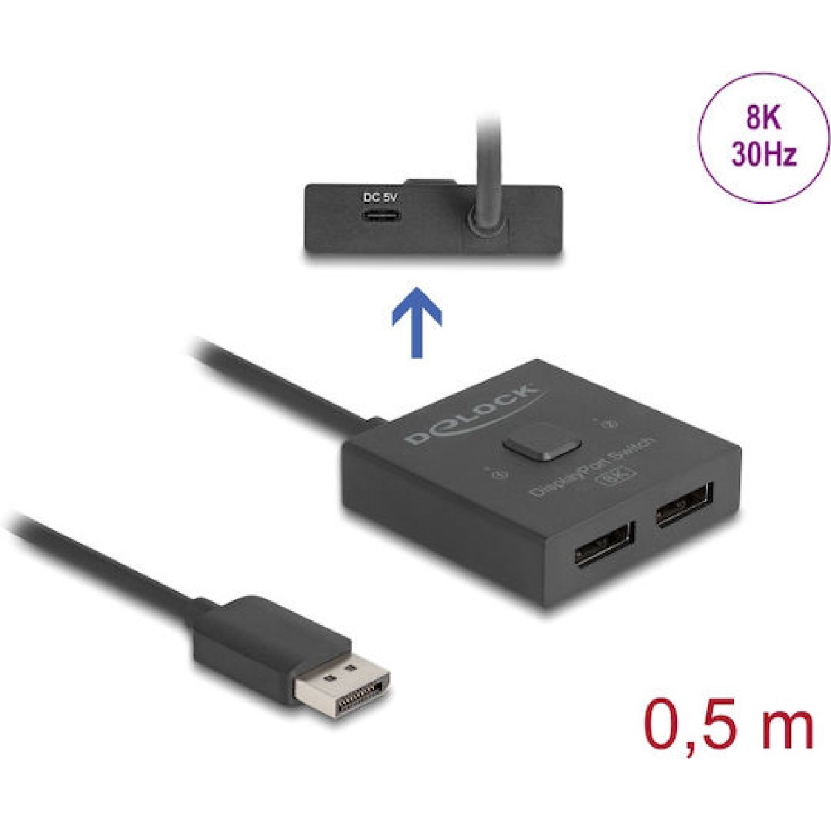 DeLock KVM & Data Switch 18906