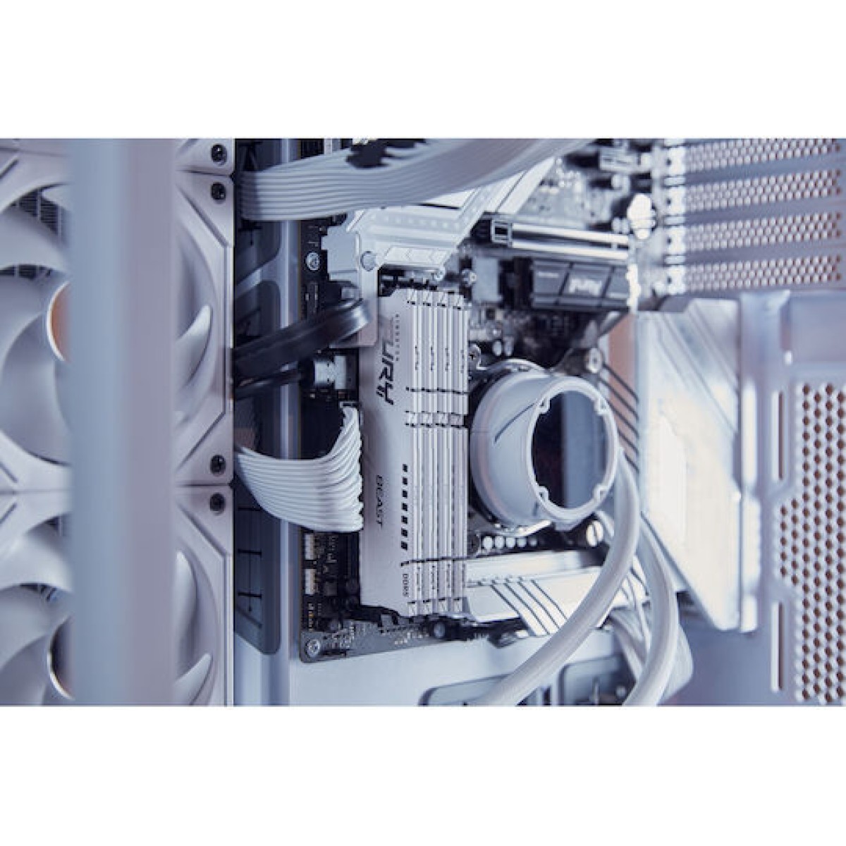 Kingston Fury Beast DDR5 με Module 1x32GB και Ταχύτητα 6000 για Desktop