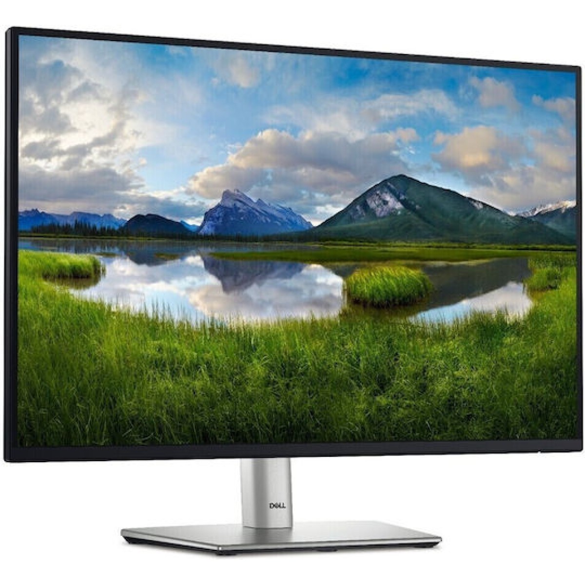 Dell P2425 IPS Monitor 24.1