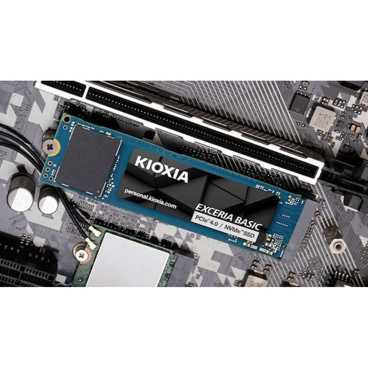 Exceria Basic 1 TB (PCIe 4.0 x4, M.2 2280)