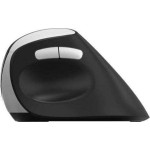 Rapoo EV250 Schwarz Wireless Ergonomic Mouse