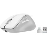 Speedlink LIBERA Rechargeable Mouse Wireless BT Silent white