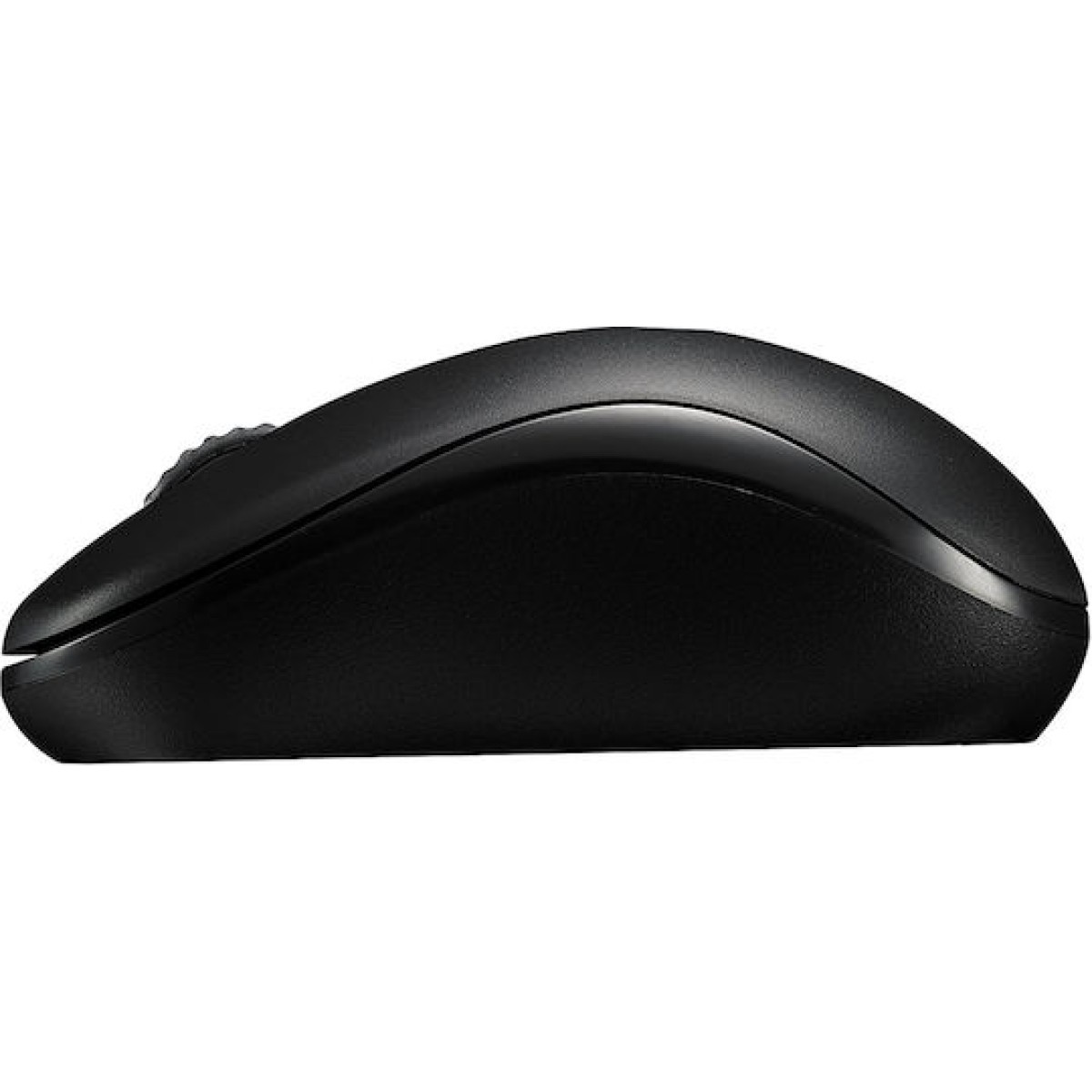 Rapoo M10 Plus black Wireless Optical Mouse
