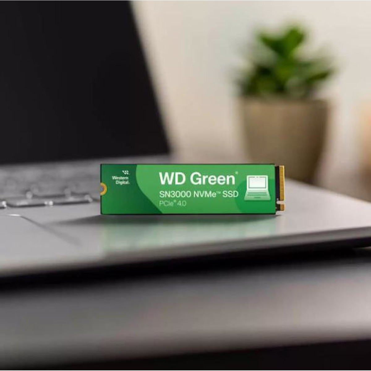 Western Digital Green SSD  500GB M.2 2280 PCI 4.0 SN3000
