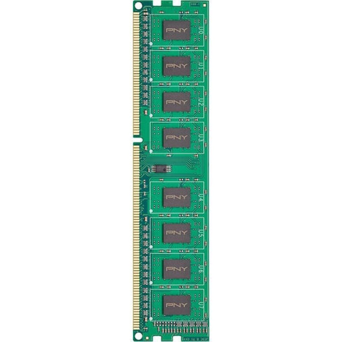 PNY DDR3 με Module 1x8GB και Ταχύτητα 1600 για Desktop