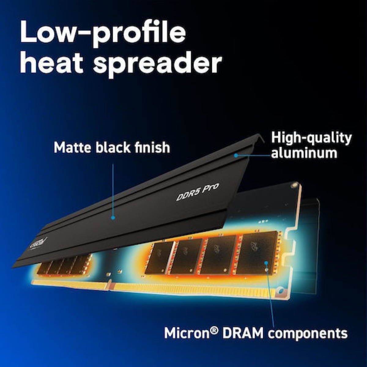 Crucial Pro DDR5 RAM με Module 1x16GB και Ταχύτητα 5600 για Desktop