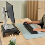 Fellowes Breyta Plus+ Ασύρματο Εργονομικό Bluetooth Vertical Ποντίκι Μαύρο