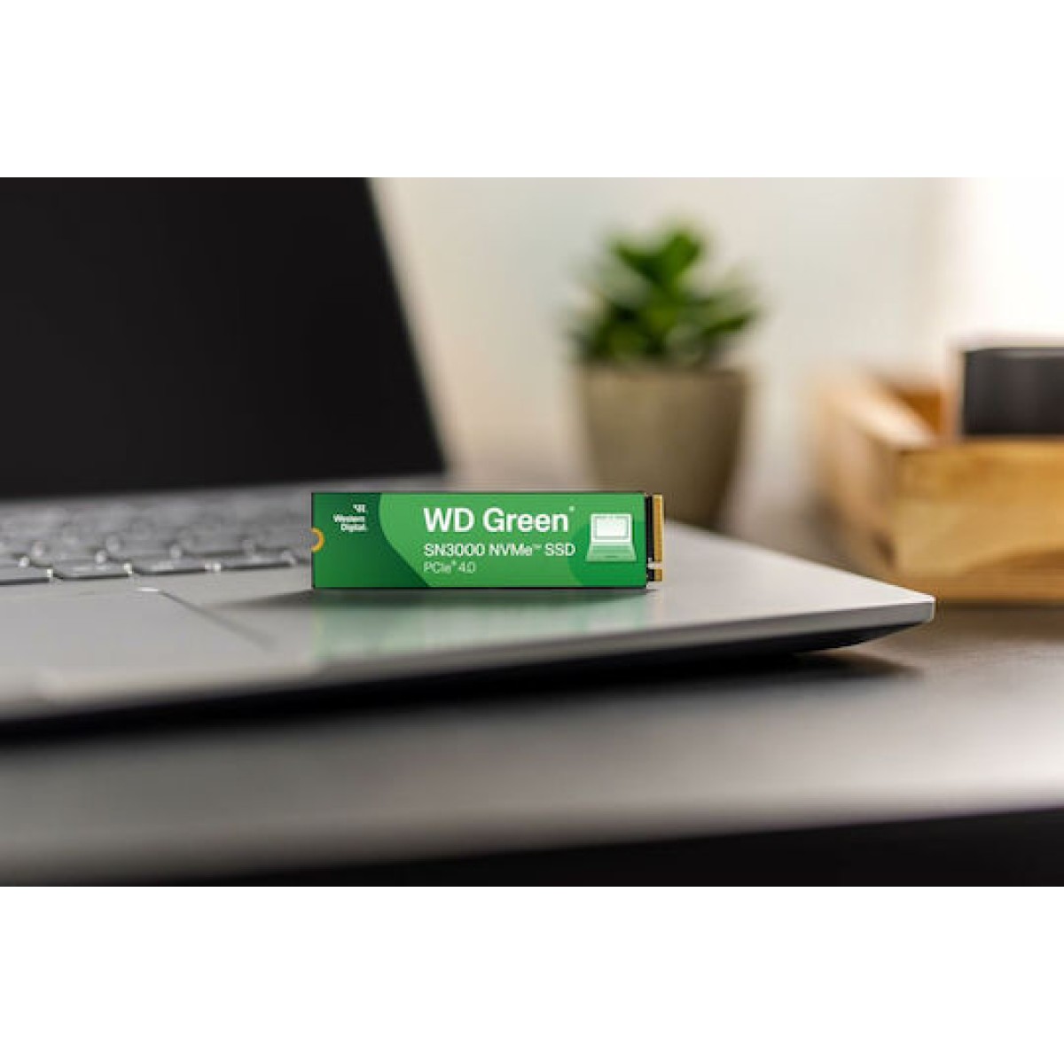 Western Digital Green SN3000 SSD 1TB M.2 NVMe PCI Express 4.0 Bulk WDS100T4G0E-00CPS0