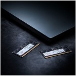 Adata DDR5 με Module 1x48GB και Ταχύτητα 5600 για Laptop