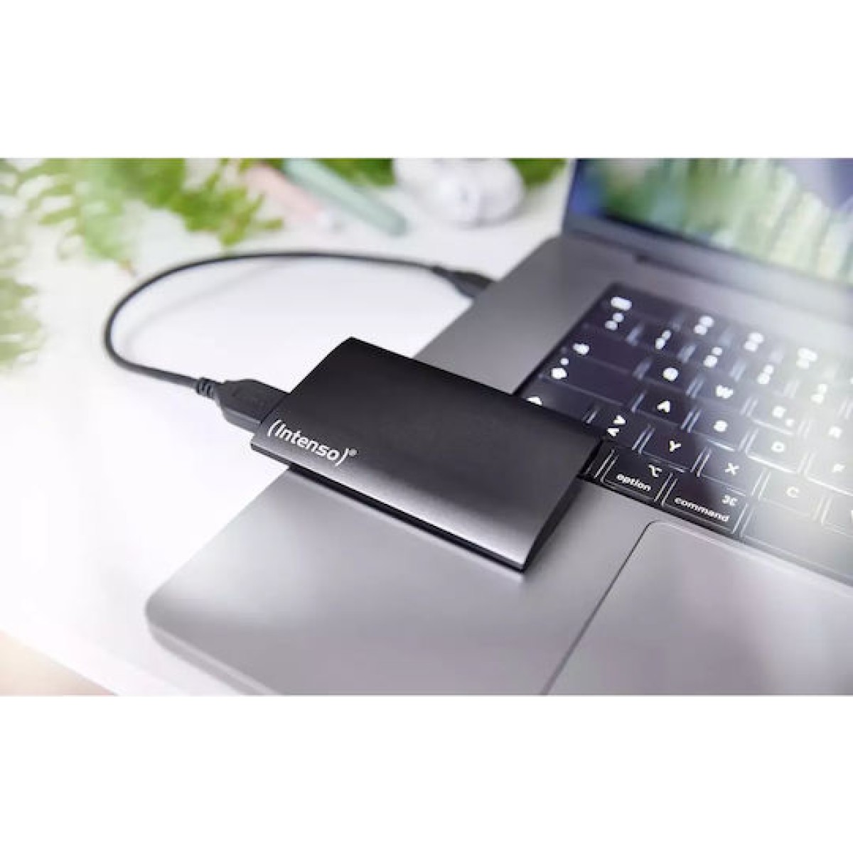 Intenso Premium Edition USB 3.0 Εξωτερικός SSD 500GB 1.8