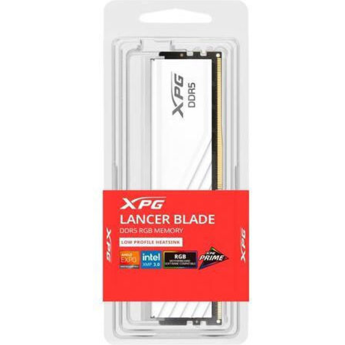 Adata DDR5 με Module 1x16GB και Ταχύτητα 6000 για Desktop