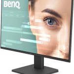 BenQ GW2491 IPS Monitor 23.8\