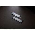 Patriot Viper P400 SSD 1TB M.2 NVMe PCI Express 4.0