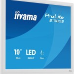 Iiyama B1980S-W1 TN Monitor 19
