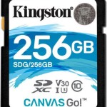 Kingston Canvas Go! SDXC 256GB Class 10 U3 V30 UHS-I