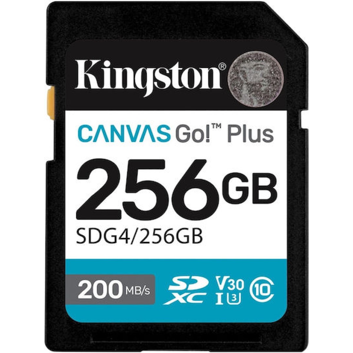 Kingston Canvas Go! SDXC 256GB Class 10 U3 V30 UHS-I