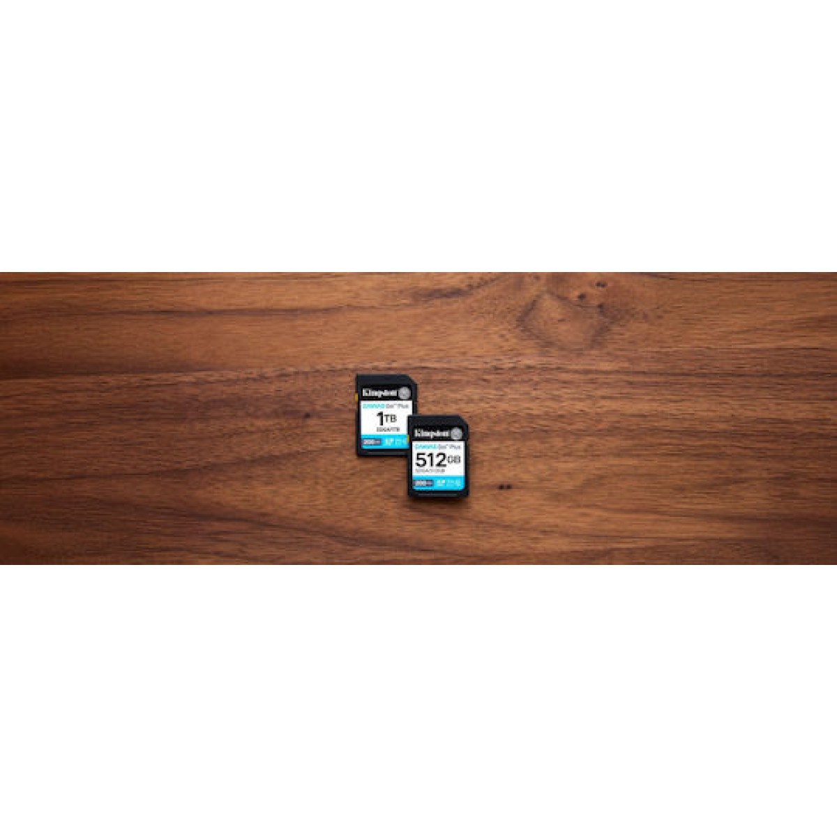 Kingston Canvas Go Plus microSDXC 1.0TB Class 10 U3 V30 UHS-I με αντάπτορα