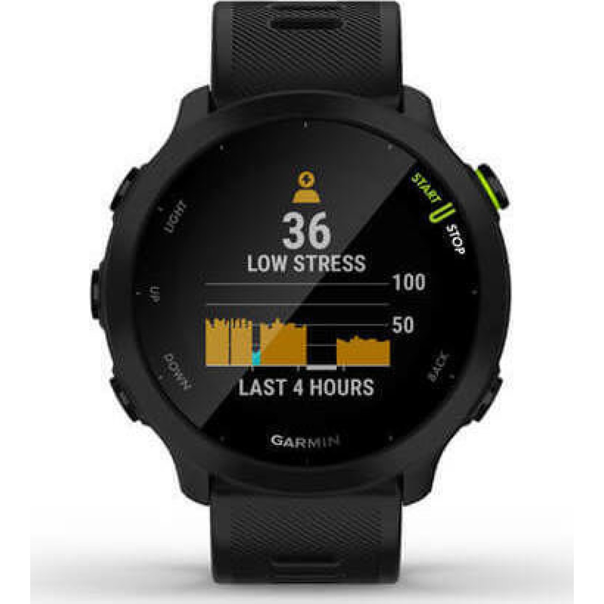 Forerunner 55 (schwarz, 42 mm, Silikon-Armband)